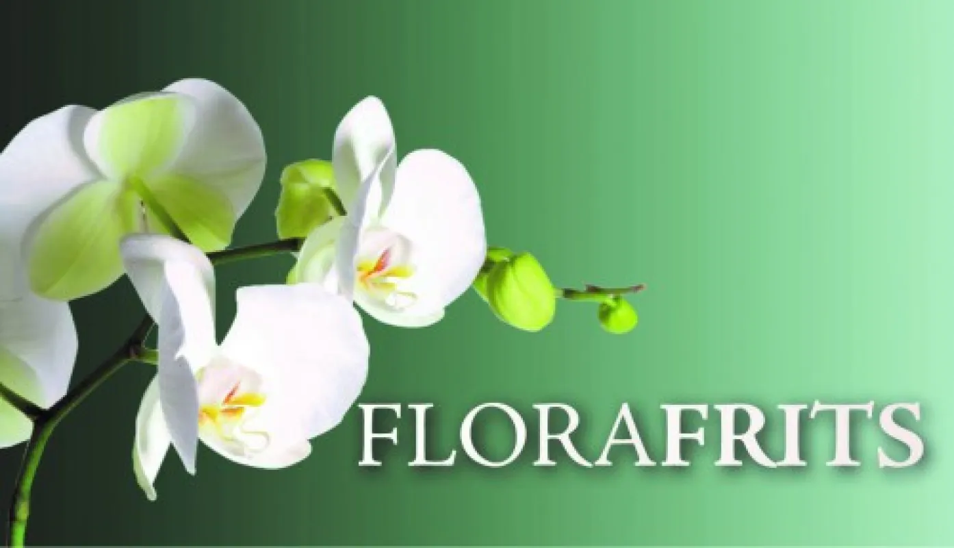 Flora Frits logo